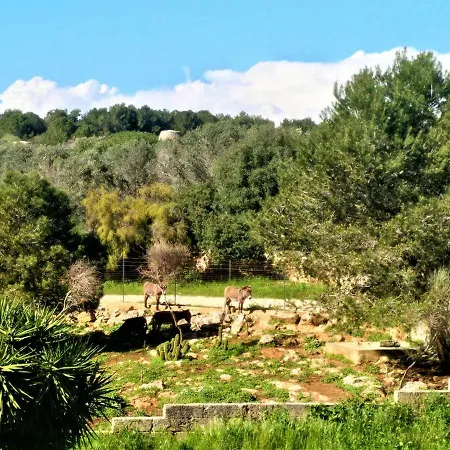 Le Colonie דירה *