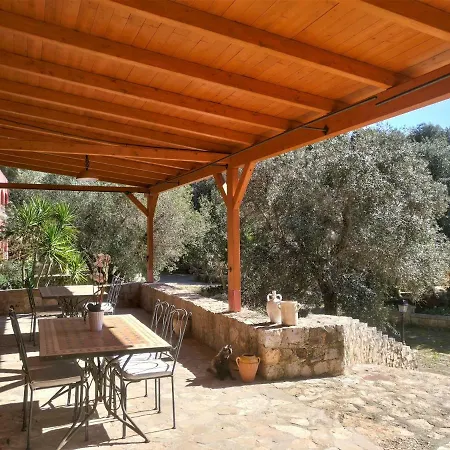 Le Colonie פרזיצ'ה