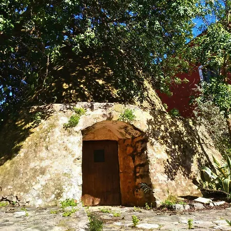 Le Colonie Apartamento *