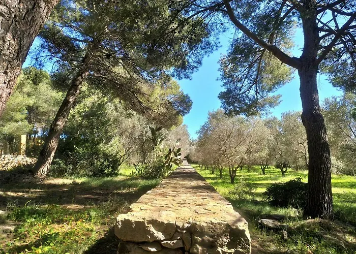 Apartman Le Colonie